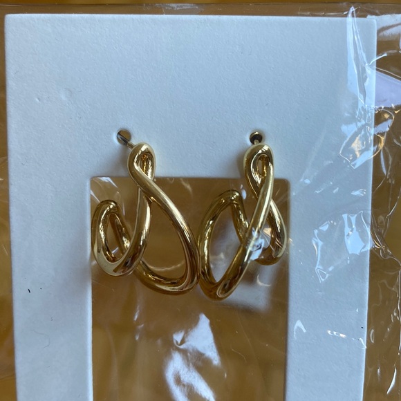 Double Hoop Earrings - Picture 1 of 2